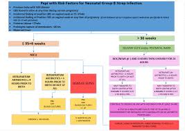 Image result for Group B Streptococcus Prophylaxis