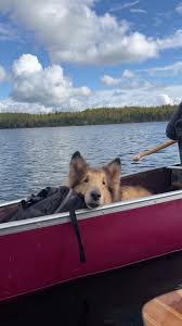 Erin Wasik (@erinwasik)