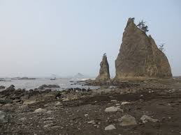 Sea Stack Picture Of Rialto Beach Olympic National Park