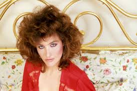 Image result for Robyn 500