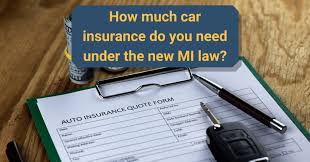 What is good car insurance coverage. How Much Car Insurance Do I Need Michigan Auto Law