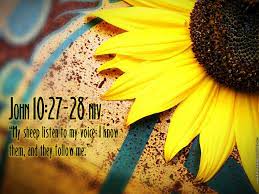 Maybe you would like to learn more about one of these? Free Download Bible Verse Greetings Card Wallpapers Bible Verse Wallpaper 1024x768 For Your Desktop Mobile Tablet Explore 77 Biblical Wallpapers With Verses Biblical Wallpapers With Verses Wallpaper With Bible