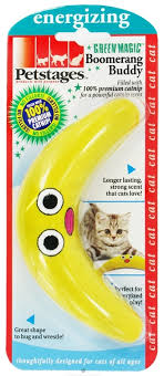 Kedi Oyuncaklari Kedili Bir Hayat Yasanmaya Daha Cok Deger