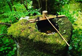 pin by 福田 稜太 ryota fukuda on りょーすけ herbs