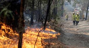 Check spelling or type a new query. Australian Wildfires May Impact Global Food Supply Fox Business