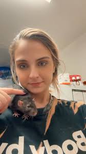 Dealing with sudden pet rat loss