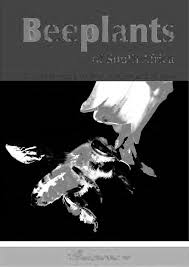 Image result for Hirpicium antunesii