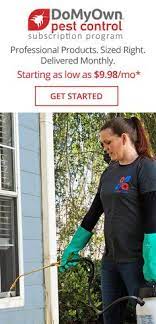 We did not find results for: 47 Do It Yourself Pest Control Ideas Pest Control Pests Insect Control