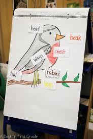 Bluehost Com Birds For Kids Preschool Activities Spring Kindergarten