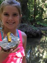 The Salvation Army Redwood Glen Camp & Conference Center|Scotts Valley