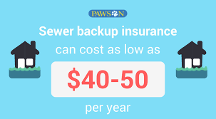 We did not find results for: What Is Sewer Backup Coverage And Do You Need It Pawson