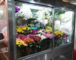 This works best for more delicate flowers and arrangements that are already complete. How To Keep Cut Flowers Fresh 15 Tips For Making Cut Flowers Last
