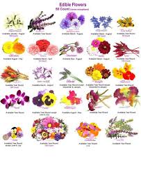 23 Recipes That Will Feed Your Inner Flower Child Edible Flowers Flower Food Eatable Flowers