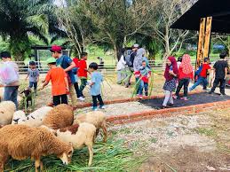But unfortunately, you missed the way out from that place. Lawatan Tadika Pertama Hari Ni G2g Animal Garden Maeps Facebook