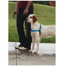 Easy Walk Deluxe Harness