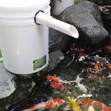 Melihat ikan berenang di kolam yang desainnya minimalis membuat suasana hati menjadi adem. Model Baru Filter Kolam Ikan Koi Kolam Mini Diy Filter Untuk Kolam 1m3 Shopee Indonesia