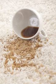 Quick Tip Removing Coffee Stains From Carpet Coffee Stain Removal Cleaning Hacks Clean Baking Pans