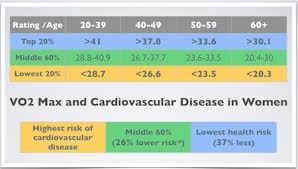 Vo2 Max Charts Explained How To Find Your Vo2 Max Score