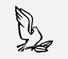 Columbidae Tauben Als Symbole Zeichnen Symbol Bereich Arm Kunst Png Pngwing