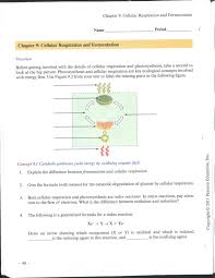 Living organisms display the property of metabolism, which is a general term to describe the 3. What Are The Main Redox Reactions In Cellular Respiration Answers Com
