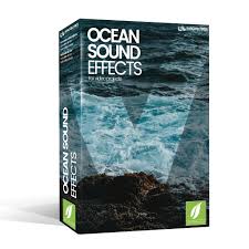 From waves crashing against rocks, lapping on sandy . Burgh Records Ocean Sounds Gfx Download