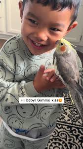 Best friends #cockatielsoftiktok #cockatiel