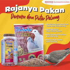 Pakan burung derkuku tekukur puter spesial jagung campur 500 g shopee indonesia. Phoenix Terkuku Harian Platinum Andalan Baru Produk Pakan Dua Sigma Nusantara Untuk Derkuku Puter Pelung Agrobisburung Com