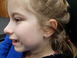 Vermilion Flycatchers: Watching from Above