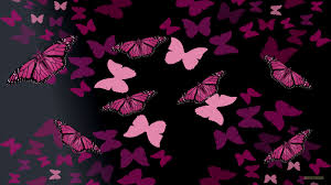 This boujee pink collage is the perfect accent wall to any room! Black And Pink Butterfly Wallpapers Top Free Black And Pink Butterfly Backgrounds Wallpaperaccess