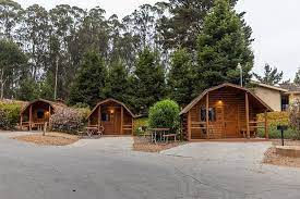 Give the world a shot · verified guest reviews · 11+ million reviews Cozy Camping Cabins Picture Of Santa Cruz Monterey Bay Koa La Selva Beach Tripadvisor