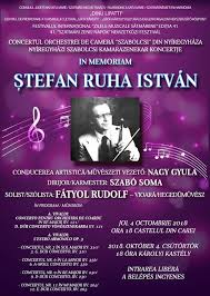 In Memoriam È™tefan Ruha Istvan Satu Mare Memoriam Movie Posters