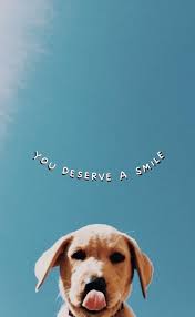 Doggiesbackground Lustige Iphone Wallpaper Smartphone Hintergrund Iphone Hintergrund Sommer