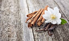 Du 03 au 05 août, grasse célèbre le jasmin et la provence ! Ou Sortir A Grasse Le Guide Des Bars Pubs Evenements