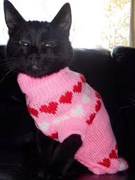 Blue Cat Wearing A Pink Sweater With Hearts Cat Sweaters Cats Blue Cats