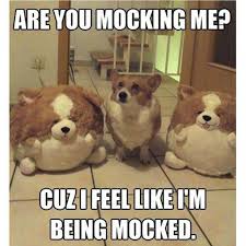Check spelling or type a new query. This Poor Fat Dog