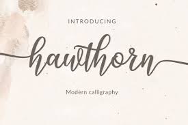 We have 3,749 free handwritten\ fonts to offer for direct downloading · 1001 fonts is your favorite site for free fonts since handwriting. Hawthorn Font 1001 Free Fonts