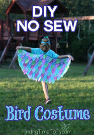 Diy Bird Costume For Kids Diy No Sew Bird Costume Bird Costume Kids Bird Costume Bird Wings Costume