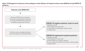 Areas of the heart muscle that don't get enough blood can die, causing permanent heart damage or even death. Esc Guidance For The Diagnosis And Management Of Cv Disease During The Covid 19 Pandemic
