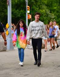Shawn mendes & camila cabello share steamy single 'senorita': Camila Cabello And Shawn Mendes S Relationship A Complete Timeline Glamour