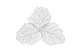 Tri Leaf Wall Art Large Metal Silver Black
