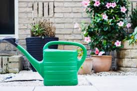 Maybe you would like to learn more about one of these? A Landlord S Guide To Garden Maintenance Srp Inventories