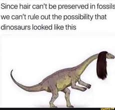 Since Hair Can T Be Preserved In Fossils We Can T Rule Out The Possibility That Dinosaurs Looked Like This Ifunny Really Funny Memes Funny Memes Stupid Funny Memes