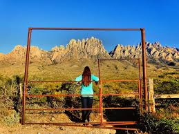 Maybe you would like to learn more about one of these? Top 8 Things To Do In Las Cruces New Mexico Trips To Discover