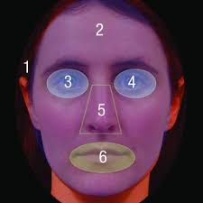Heat maps showing an example of two adults' (top) and two infants'...