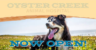We devote our time to education for both staff and clients, easing the decision process. Oyster Creek Animal Hospital Oyster Creek Tx Veterinarians