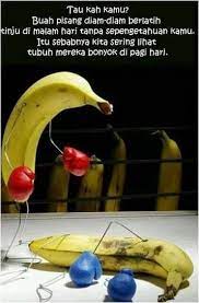 Ia tahu semua hanya titipan. Banana P Humor Meme Lucu Kata Kata