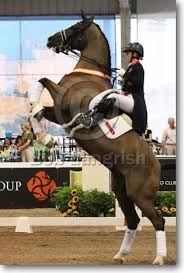 Jul 01, 2021 · charlotte dujardin will aim to become the first british woman to win three consecutive individual dressage gold medals after being named in the team for the tokyo olympics on thursday. Valegro Photos Google Search Horse Equestrian Beautiful Horses Equestrian Dressage
