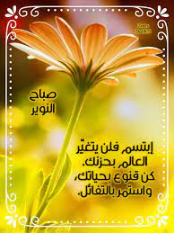 صباح النوير good morning morning no worries