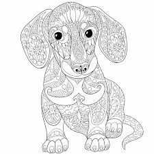 Pin On Best Popular Coloring Page For Adults