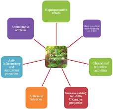 Image result for Vernonia thomsoniana